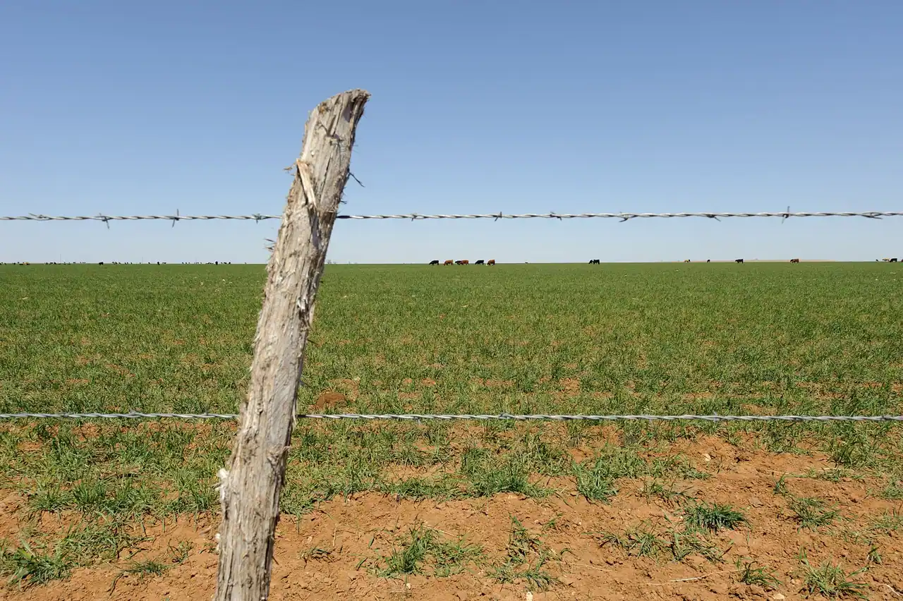 Five-strand barbed wire fence around open pasture