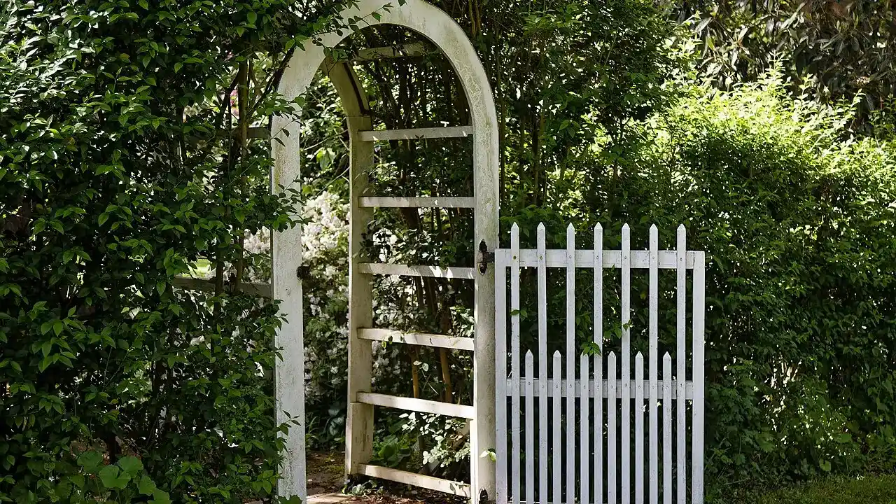 White garden arch and picket gate