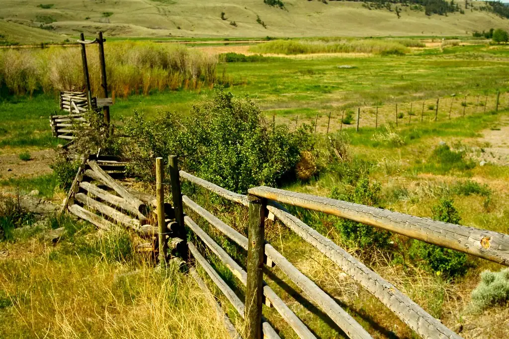 Wood ranch fence along green rolling hills