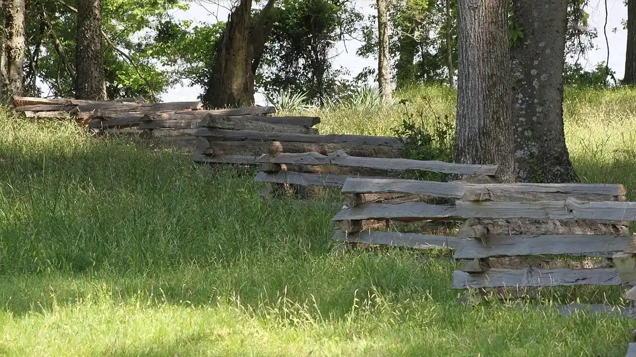Split-rail fence under shade trees