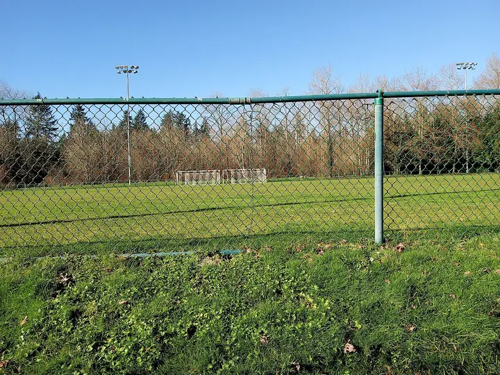 Chain-link fence around a grass field