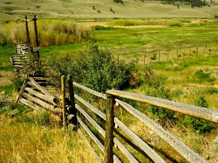 Wood ranch fence along green rolling hills
