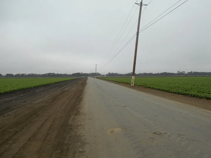 Farm road and fields in the north Salinas Valley