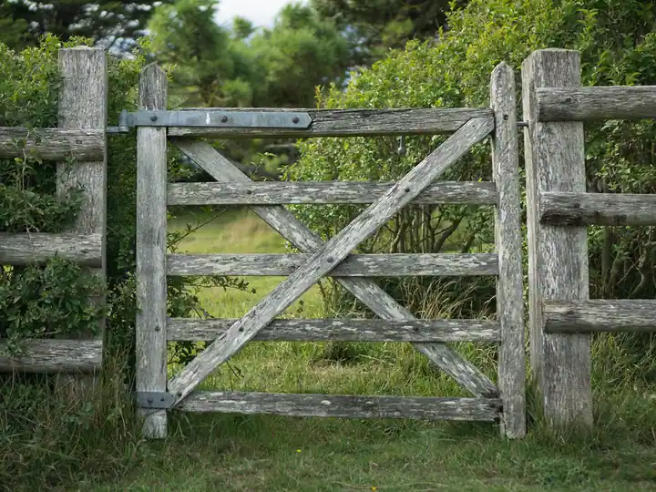 Wooden garden gate set in a board fence