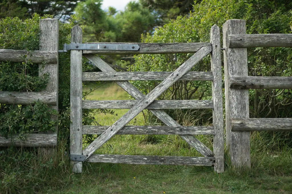 Wooden garden gate set in a board fence
